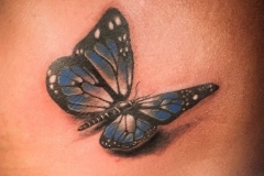 COVER - UP Butterfly
